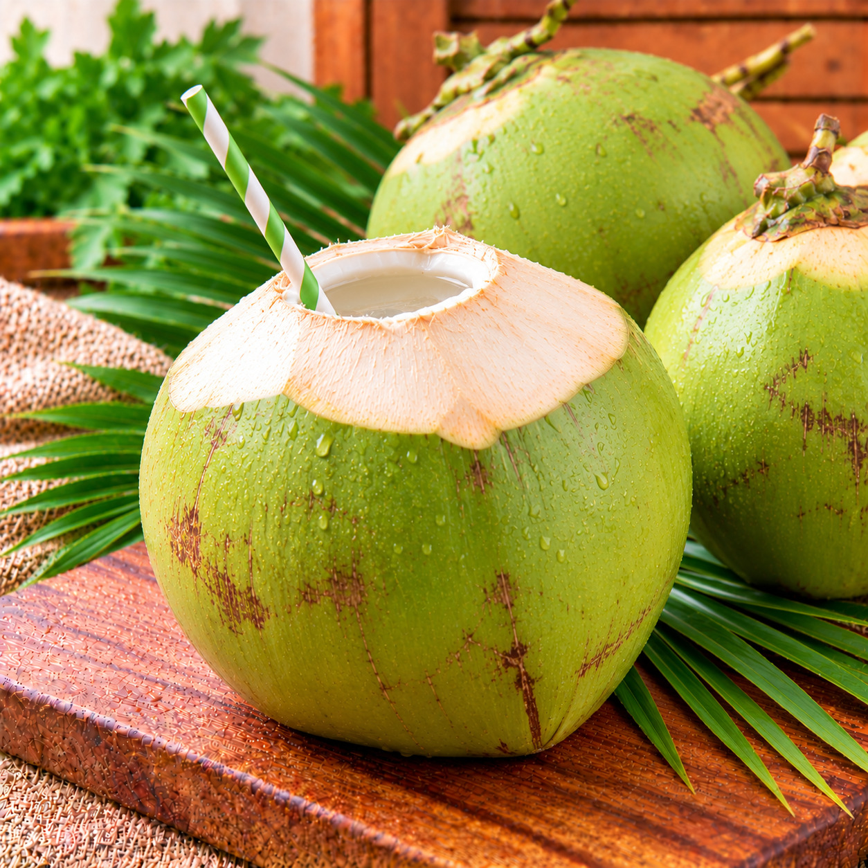 Tender Coconut Large