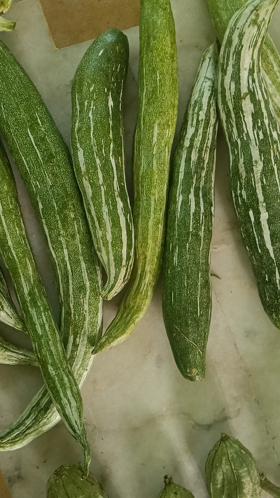 চিচিঙ্গা