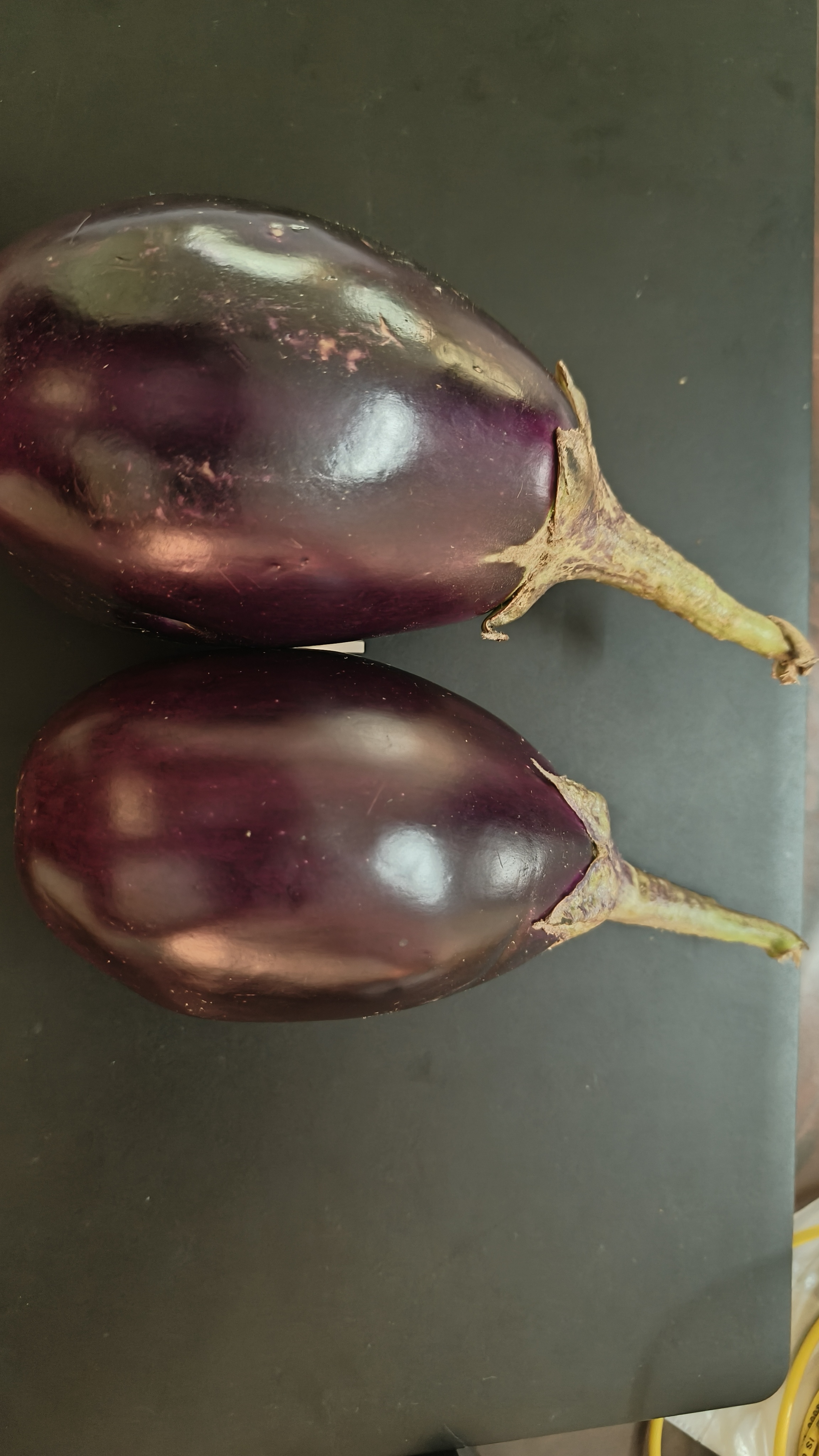 Kalo begun(কালো বেগুন)